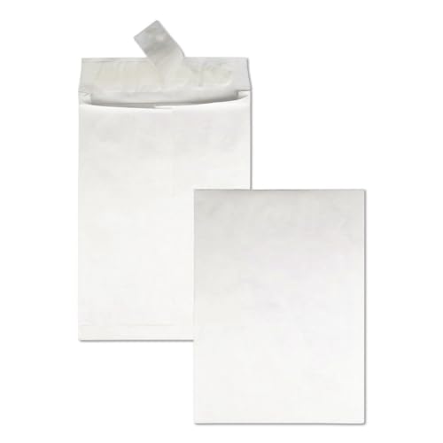 Survivor R4520 Tyvek Open-End Envelope,Plain,12-Inch x16-Inch x2-Inch,100/CT,White