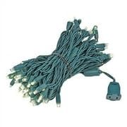 Novelty Lights 50ft 100 LED Warm White Christmas Lights, Green Wire - color: Warm White