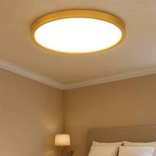 MOONSEA 16 Inch Flush Mount LED Kitchen Ceiling Light Fixture 32W Golden - color: Gold, size: 16 Inch