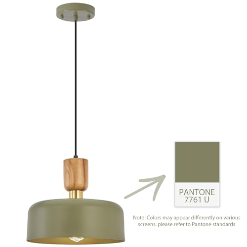 TeHenoo Contemporary Pendant Lighting, 12 inch, Green - color: Deep Green