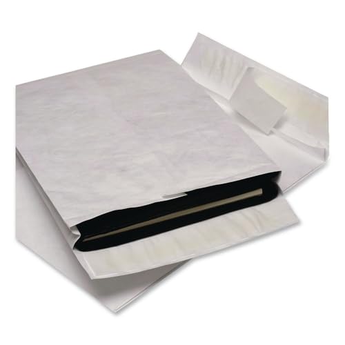 Survivor R4520 Tyvek Open-End Envelope,Plain,12-Inch x16-Inch x2-Inch,100/CT,White