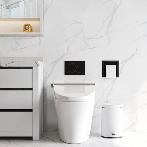 Neodrain Matte Black Recessed in Wall Toilet Paper Holder - color: Matte Black, size: 6X6In