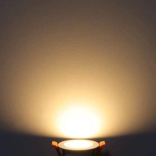 2 Inch LED Downlight, Recessed Lighting Dimmable Ceiling Light, 3W, 3000K Warm White, CRI80 with LED Driver(35W Halogen Equivalent), 20 Pack - color: Warm White, size: White/20 Pack