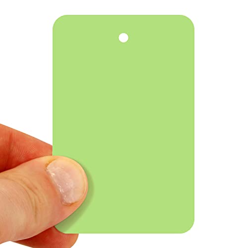 SmartSign Light Green Blank Garment Tags - Pack of 1000, 12pt Thick Cardstock Clothing Tags, 2.875" x 1.75" Merchandise Tags with Eyelet, Colored Retail Tags Without Strings - color: Light Green