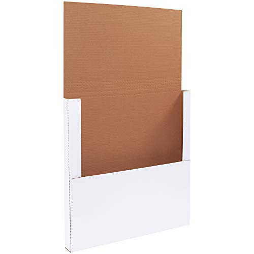 Box USA Mailer Boxes Large 24"L x 24"W x 2"H 20-Pack - Corrugated Cardboard Box for Shipping, Moving, Mailing, Packing, Packaging and Storage