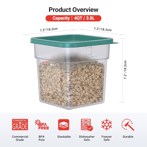 2 Pack 4 QT Commercial Food Storage Containers with Lids, BPA-Free Translucent Square Containers for Flour, Rice, Sugar, Pet Food and Dry Ingredients Storage with FIFO Label Area - size: 2 X 4.0(QT)