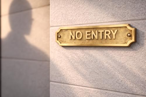 Solid Brass NO ENTRY Door Sign Plate with Screws, Decorative Wall Plaque for Home Office Shop Gate Warning Sign Indoor Outdoor Use 22 x 5 cm (NO ENTRY) - color: NO ENTRY
