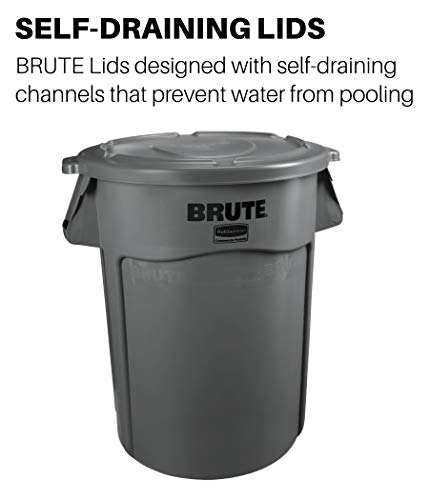 Rubbermaid Commercial Products BRUTE Heavy-Duty Round Trash/Garbage Lid, 20-Gallon, Black, Outdoor Waste Container for Home/Garage/Mall/Office/Stadium/Bathroom