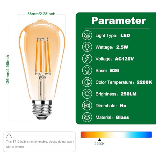 2.5W ST19 Vintage LED Edison Light Bulbs,E26 Led Bulb,Equivalent 25W,Filament Bulbs,Warm White 2200K,250LM,Non-Dimmable,Amber Glass,6 Pack - color: Amber, size: 6 Count (Pack of 1)