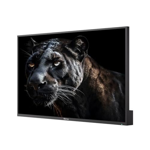 SYLVOX 65 inch Outdoor Mini-LED QLED TV, 4K Ultra HD Smart Google TVs, 2000 Nits Full Sun, Anti-Glare Screen, 120Hz Refresh Rate, IP55 Waterproof, Dual 30W Dolby Atmos Speaks (Cinema/2025) - size: 65-inch, style: Cinema