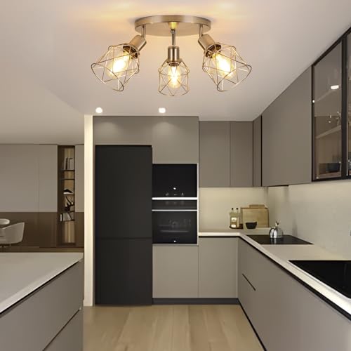 WILON 3 Light Track Lighting Fixture Ceiling Light Kitchen Brushed Nickel - color: Brushed Nickel, size: 3-Light-Cage