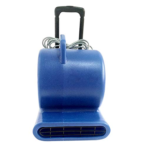 TECHTONGDA 3-Speed 900W 5700 CFM Air Mover Carpet Dryer Blower Floor Dryer Fan 220V