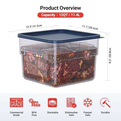 2 Pack 12 QT Commercial Food Storage Containers with Lids, BPA-Free Translucent Square Containers with Handles for Flour, Dough Rising, Rice and Bulk Ingredients - size: 2 X 12.0(QT)