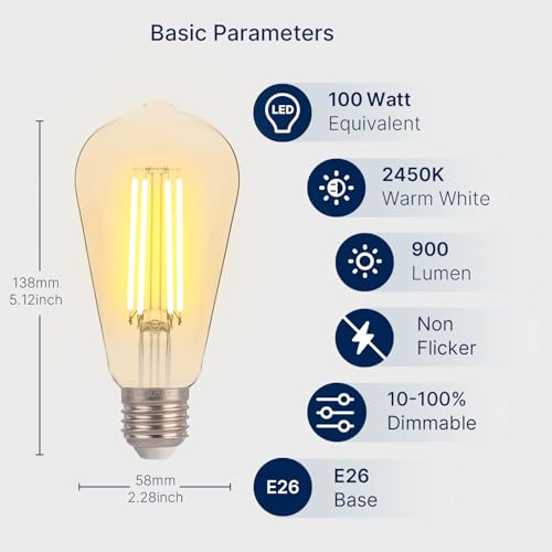 FLSNT LED Edison Bulbs 100W Equivalent, ST19 Dimmable Vintage LED Light Bulbs, 2450K Warm White, 8W, 900LM, E26 Base, Amber Glass, 6 Pack - color: 100w 2450k Warm White, size: 6 Count (Pack of 1)
