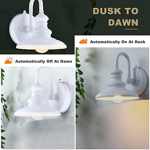 LONEDRUID Dusk to Dawn Sensor Outdoor Gooseneck Barn Light Fixture White - color: White