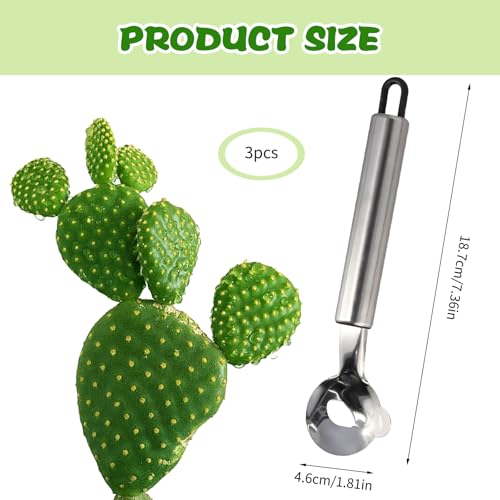3 PCS Cactus Peeler Tool, Multifunctional Cactus Peeling Knife Tool, 7.48x1.81in Ergonomic Design, Easy to Clean, Suitable for Cooking Cactus Noodles in the Kitchen