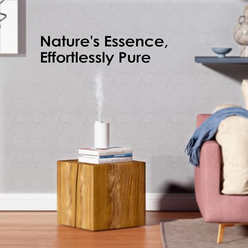 Airversa AN6 Waterless Diffuser for Essential Oil for Home, Room, Lavander - color: Lavender