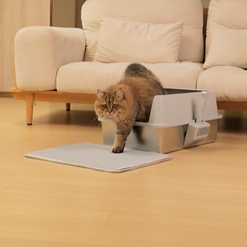 2PCS Stainless Steel Litter Box, XL Cat Litter Box for Big Cat - color: 2PCS XL-lid box