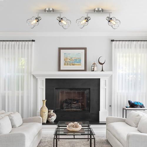 WILON Industrial Track Lighting Kit, 2 Light Modern Track Lighting Fixtures Brushed Nickel Flush Mount Ceiling Light Rotatable Light Head E26 Base Ceiling Spotlight for Kitchen Dining Room Hallway - color: Brushed Nickel, size: 2-Light-Cage