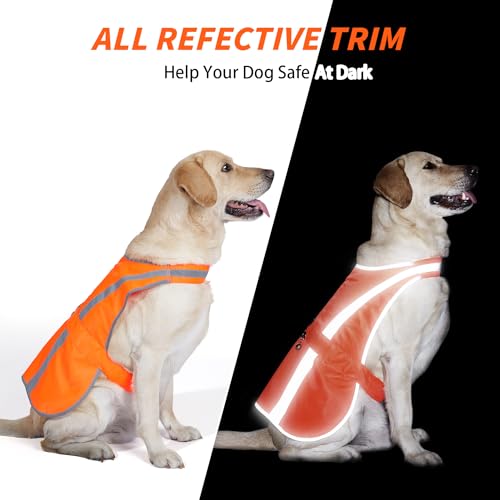 Reflective Dog Vest for Medium Large Breeds, High Visibility Dog Safety Vest with Removable Bell Keep Safe from Hunting, Training & Cars Accidents - color: Blaze Orange, size: M