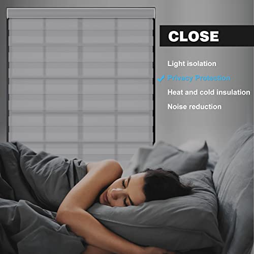 Changshade Custom Size Cordless Zebra Blinds for Window, Light Filtering Dual Layer Free-Stop Roller Zebra Shades Light Control for Day and Night Fabric Blinds for Home Easy Installation Charcoal Gray - color: Light Charcoal Gray, size: Drill Installation