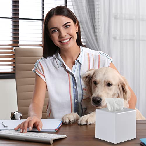 Y-in Hand Tissue Box Cover, Square Facial Tissue Holder with Bottom, White - color: White