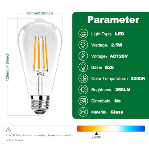 ST19 Vintage LED Edison Bulbs,25W Equivalent Outdoor LED Light Bulbs,Antique LED Filament Bulb E26 Base,2.5W Warm White 2200K,250LM,Non-Dimmable,Clear Glass,6 Pack - color: Clear, size: 6 Count (Pack of 1)