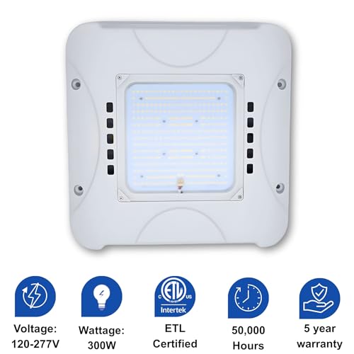 300W LED Canopy Light, 48,000LM, 5700K Daylight, Waterproof