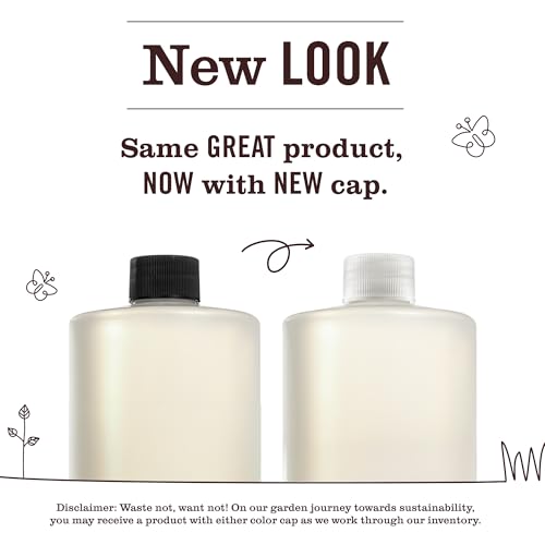 MRS. MEYER'S CLEAN DAY Multi-Surface Cleaner Concentrate, Basil, 32 fl oz - size: 32 Fl Oz (Pack of 1)