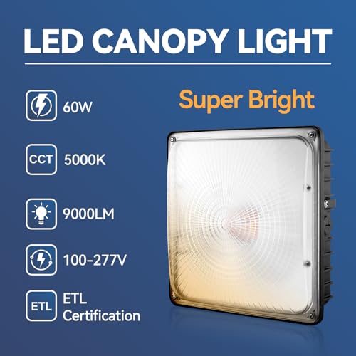 60W LED Canopy Light 4Pack, 5000K Daylight LED Canopy Lights Outdoor, IP65 Waterproof Gas Station Area Light for Carport Garage Shop Warehouse, 100-277VAC, ETL Listed - size: 60W-5000K