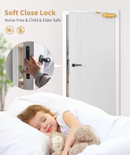 Dullgolden Door Closure System, Residential Soft-Closing, Small Size (Apartment Friendly), Quick Install - color: Dullgolden, size: Small