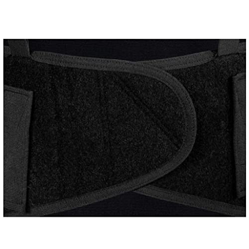 Champion Lightweight Industrial Belt Back Brace, Abdominal Support Shoulder Straps, Hook and Loop Fasteners, X-Large