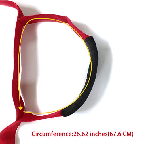 Furniture & Appliances Lifting and Moving Straps for One Person - Heavy Duty Lashing Straps Up to 600lbs - Ergonomic Adjustable Length Grip - Good Helper to Mover Russet