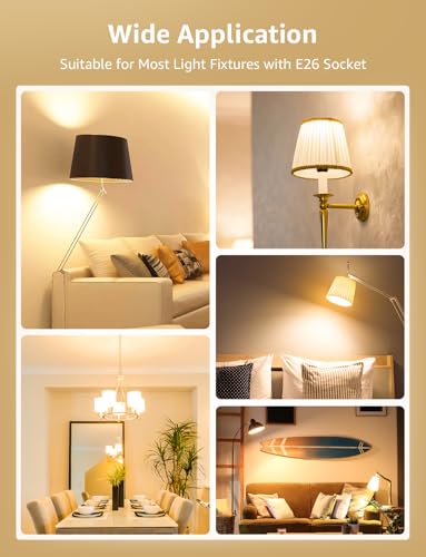 Lepro A19 E26 Dimmable LED Light Bulbs 14W 1500 Lumen Soft White 6 Pack - color: Warm White