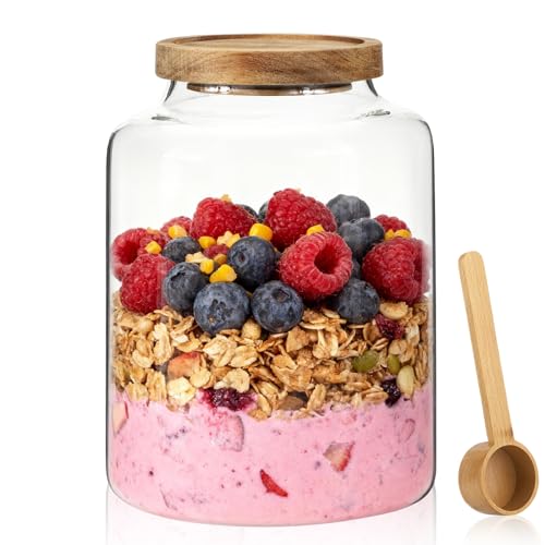 Glass Coffee Storage Jar with Lids Scoop Round Glass Coffee Ground Containers Borosilicate Glass Food Canister for Cereals Oats Beans Nut Sugar Candy Spice Rice Tea - color: 2000ml/67 oz