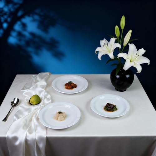 Stoneware Narrow Rim Commercial Grade Dinnerware, Bright White, Plate 8.25, Case of 36 - color: Bright White, size: Plate 8.25