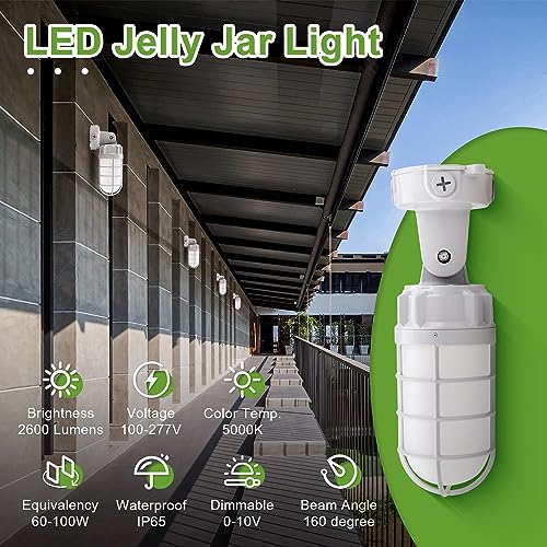 LED Vapor Tight Jelly Jar Light 21W, 5000K, Wall/Ceiling Mount Vapor-Proof LED, IP65 Wet Rated Security Cage Light for Indoor and Outdoor Lighting, UL Listed - color: 1-Pack