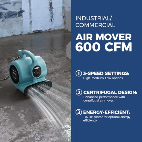 ALORAIR 3 Speed Air Mover Blower Fan 115W 600CFM Utility Floor Fan - Blue - color: GF600A Air Mover in Blue