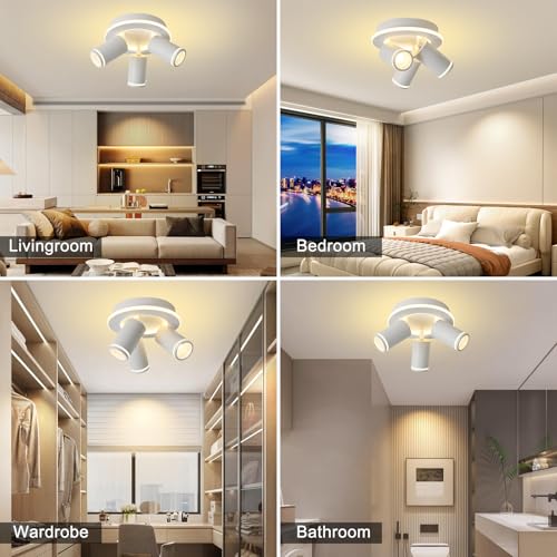 LED 3 Light Track Lighting Kit, White Round Ceiling Spot Lighting Fixture - color: White, size: 3 Light Round