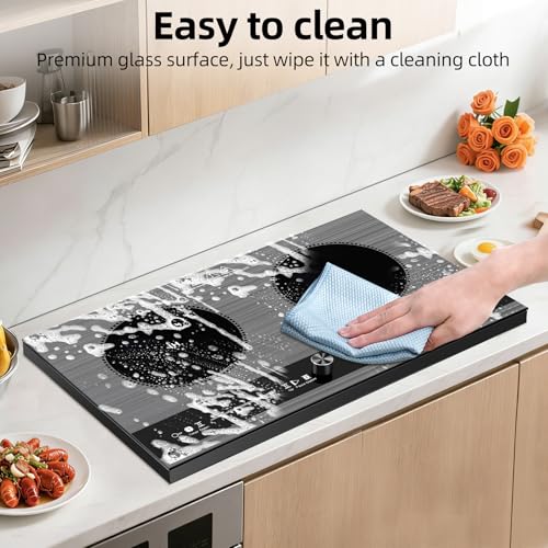 2 burner induction cooktop,110V 3000W 2 burner induction plate with Brushed Panel LED Knob Control, induction stove top with 9 Power Levels, Kids Lock & Timer,24 Inch double induction cooktop - size: 2 Burner induction Cooktop
