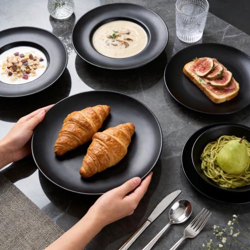 Gogailen Restaurant Value, Stoneware Coupe Shape Plate 11 inch, Matte Black, Case of 12 - color: Matte Black, size: Plate 11"
