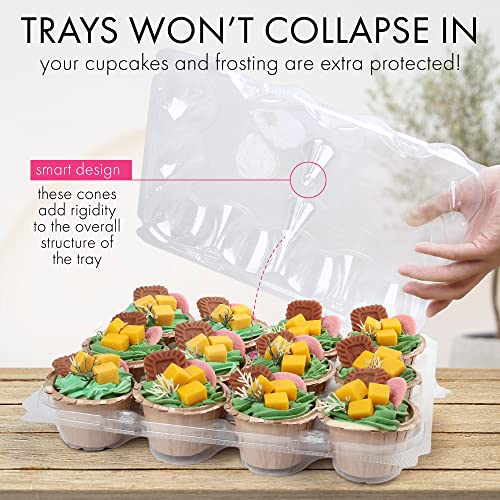 LotFancy 12 Count x 20 Sets Cupcake Containers, Clear Plastic Cupcake Boxes - size: Standard (20 sets)