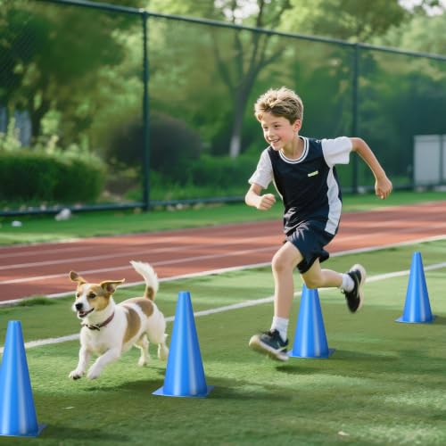 12 Inch Traffic Cones,12pcs Training Sports Cones,Parking Cones - color: blue