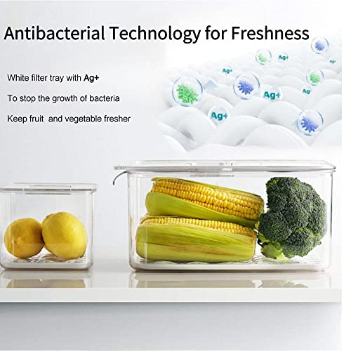 vacane Produce Saver with Lids, 2 Piece Fruit Vegetable Storage Container with Vents Stackable Fridge Drawers Organizer Salad Lettuce Keeper For Refrigerator,Bpa-free Fresh Keeper,5.7L&2.8L - color: M+L