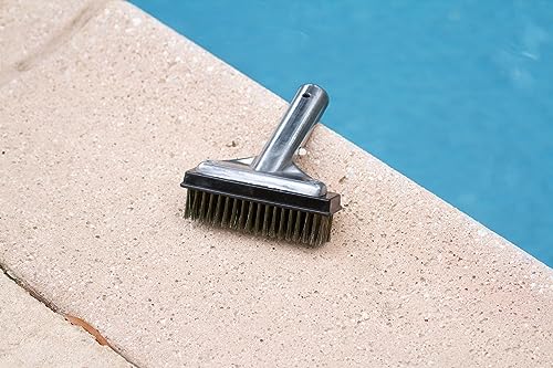 Poolmaster 5-Inch Stainless Steel Pool Algae Detail Brush, Heavy-Duty Aluminum Back, for Gunite Concrete Pools and Spas, Small Narrow Head for Corners, Steps and Tight Areas 5-Inch (Pack of 12) - size: 5-Inch (Pack of 12)