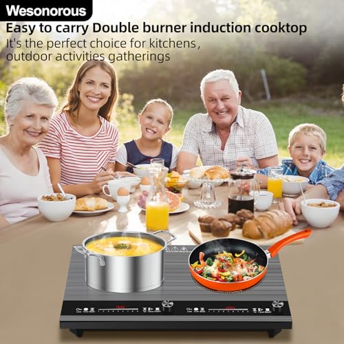 2 burner induction cooktop,110V 3000W 2 burner induction plate with Brushed Panel LED Knob Control, induction stove top with 9 Power Levels, Kids Lock & Timer,24 Inch double induction cooktop - size: 2 Burner induction Cooktop