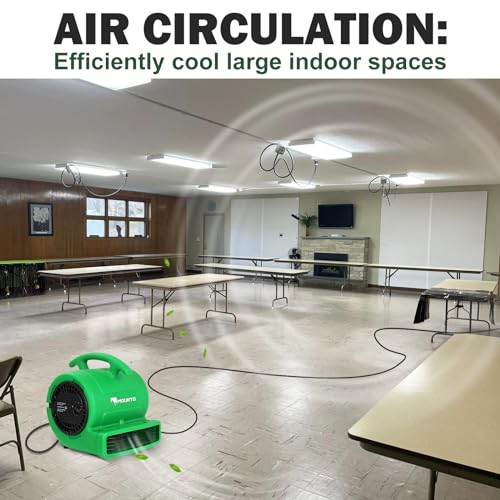 MOUNTO 1/4hp 1000CFM 2 Speed Air Mover Carpet Dryer Floor Fan Cooling Fan (Green) - color: Green