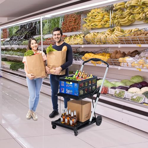 2 Tier Folding Shopping Carts for Groceries, 198 LB Capacity, Collapsible Portable Grocery Cart with Wheels & Removable Crate, Lightweight Foldable Shopping Trolley for Mall Market, Blue - color: Blue