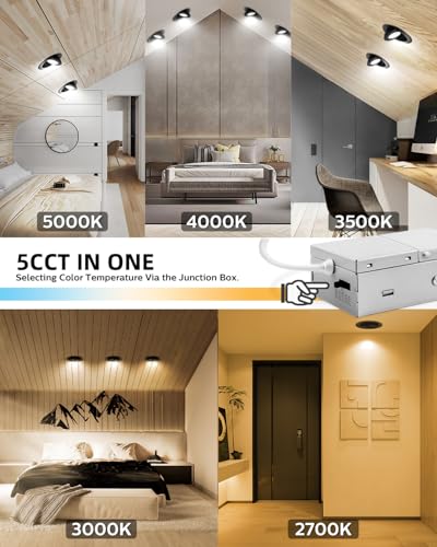 Adetu 1 Pack 4 inch 5CCT Eyeball Gimbal LED Recessed Lights, 10W=95W,982LM - color: Black-4 inch, size: 1 Pack