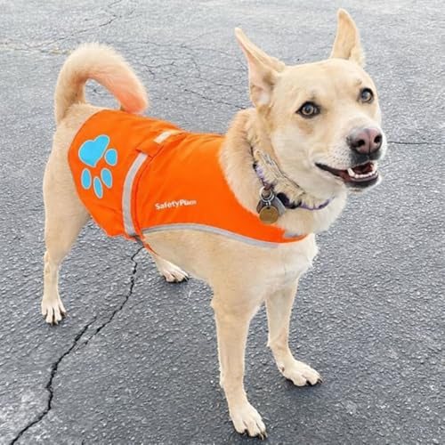 Blaze Orange Dog Vest. Reflective High Visibility in Hunting & Wooded Areas - size: X-Small